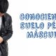 Conociendo el Suelo Pélvico Masculino