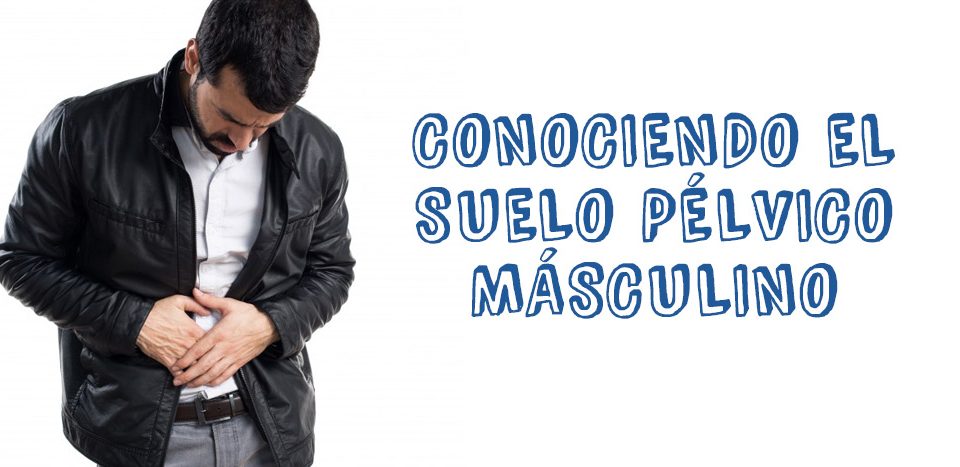 Conociendo el Suelo Pélvico Masculino