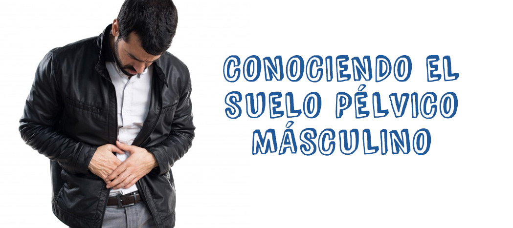 Conociendo el Suelo Pélvico Masculino